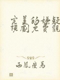 完美的嫌疑人电视剧免费观看