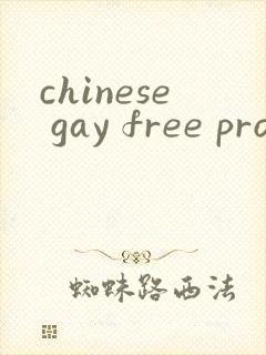 chinese gay free pron武警