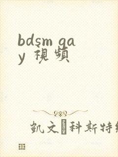 bdsm gay 视频