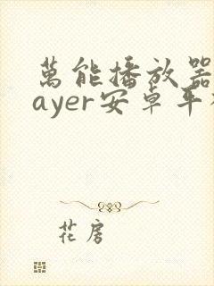 万能播放器player安卓平板