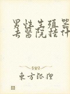 男性生殖器问题去医院挂什么科