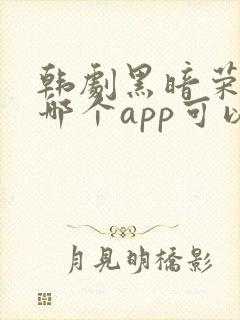 韩剧黑暗荣耀在哪个app可以看