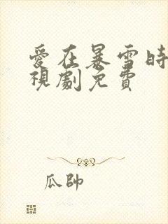 爱在暴雪时分电视剧免费