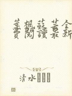 叶枫苏芸全文免费阅读最新章节列表