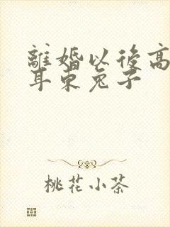 离婚以后高干 耳东兔子