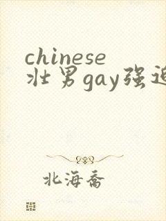chinese壮男gay强迫野外xx激情