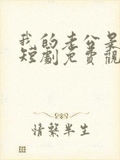 我的老公是总裁短剧免费观看全集封面