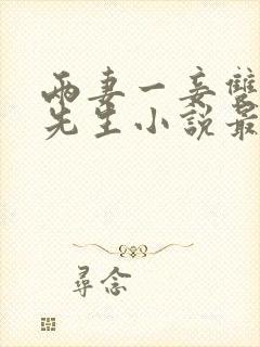 两妻一妾双头角先生小说最新章节更