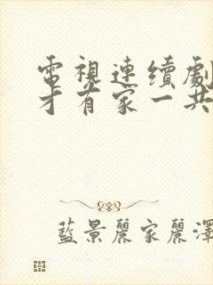 电视连续剧有你才有家一共多少集