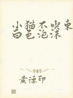 小猫不吃东西吐白色泡沫封面