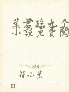 叶君临九个师父小说免费阅读全文封面