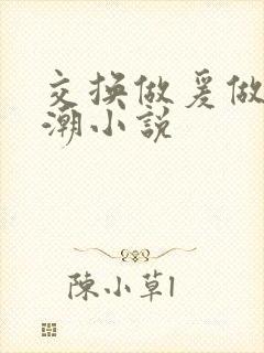 交换做爰做到高潮小说