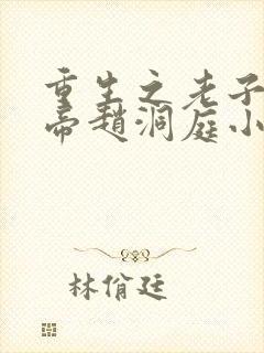 重生之老子是皇帝赵洞庭小说免费阅读