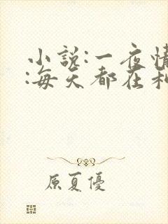 小说:一夜情深:每天都在和大佬谈恋爱