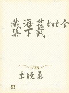 藏海花txt全集下载