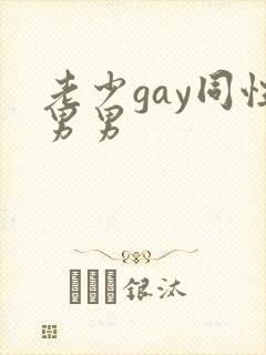 老少gay同性男男