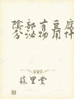 阴部有豆腐渣样分泌物用什么药封面