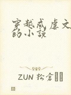 穿越成虐文女主的小说