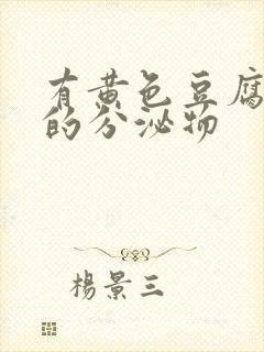 有黄色豆腐渣样的分泌物封面