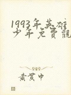 1993年英雄少年免费观看封面