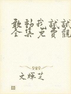 敢动我试试短剧全集免费观看