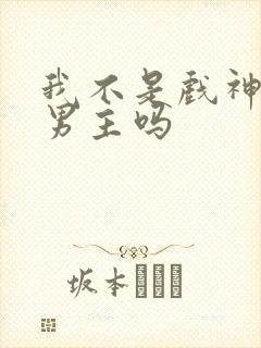 我不是戏神是双男主吗