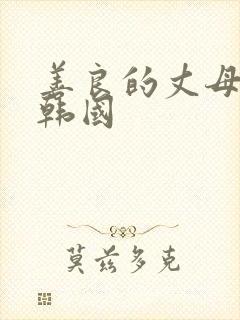 善良的丈母娘 韩国封面