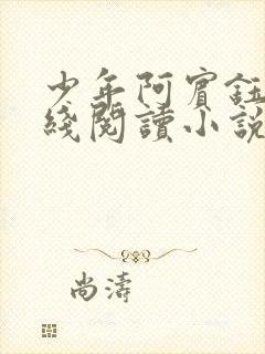 少年阿宾钰慧在线阅读小说封面