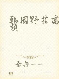 韩国野花高清视频封面