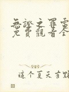 无证之罪电视剧免费观看全集