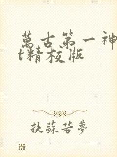 万古第一神txt精校版