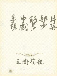 梦中的那片海电视剧多少集