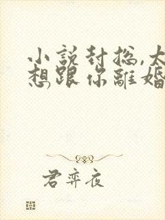 小说封总,太太想跟你离婚很久了阅读封面