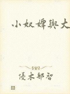 小奴婢与大少爷