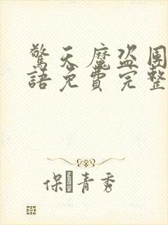 惊天魔盗团2国语免费完整版