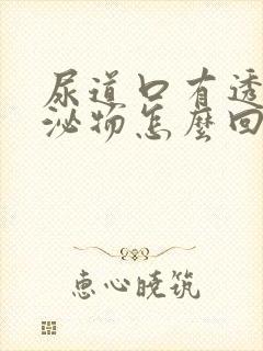 尿道口有透明分泌物怎么回事