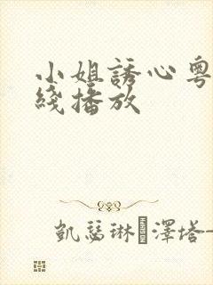 小姐诱心粤语在线播放