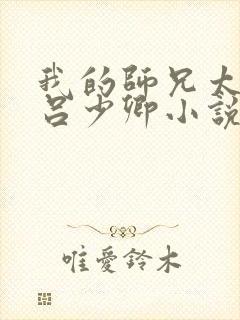 我的师兄太强了吕少卿小说