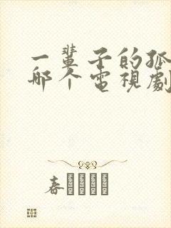 一辈子的孤单是哪个电视剧的歌