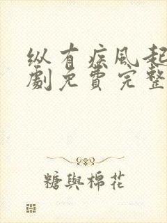 纵有疾风起电视剧免费完整版观看