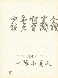 少年啊宾全文小说免费阅读笔趣阁