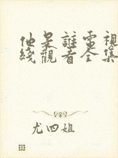 他是谁电视剧在线观看全集免费播放封面