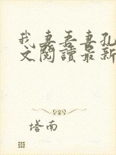 我妻吾妻孔林全文阅读最新章节