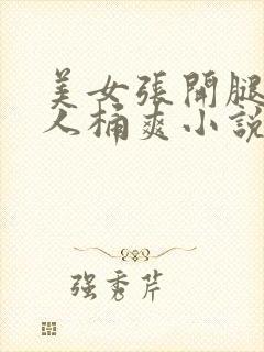 美女张开腿让男人桶爽小说