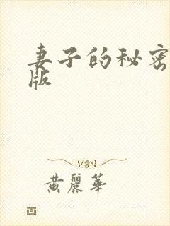妻子的秘密韩国版