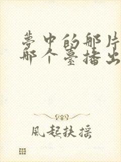 梦中的那片海在哪个台播出