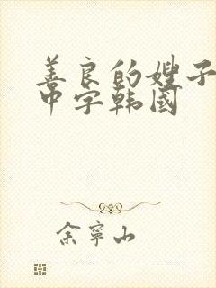 善良的嫂子伦理中字韩国封面