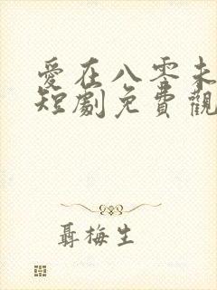 爱在八零未嫁时短剧免费观看封面