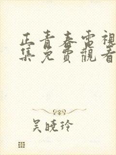 正青春电视剧全集免费观看下载