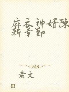 麻衣神婿陈黄皮新章节